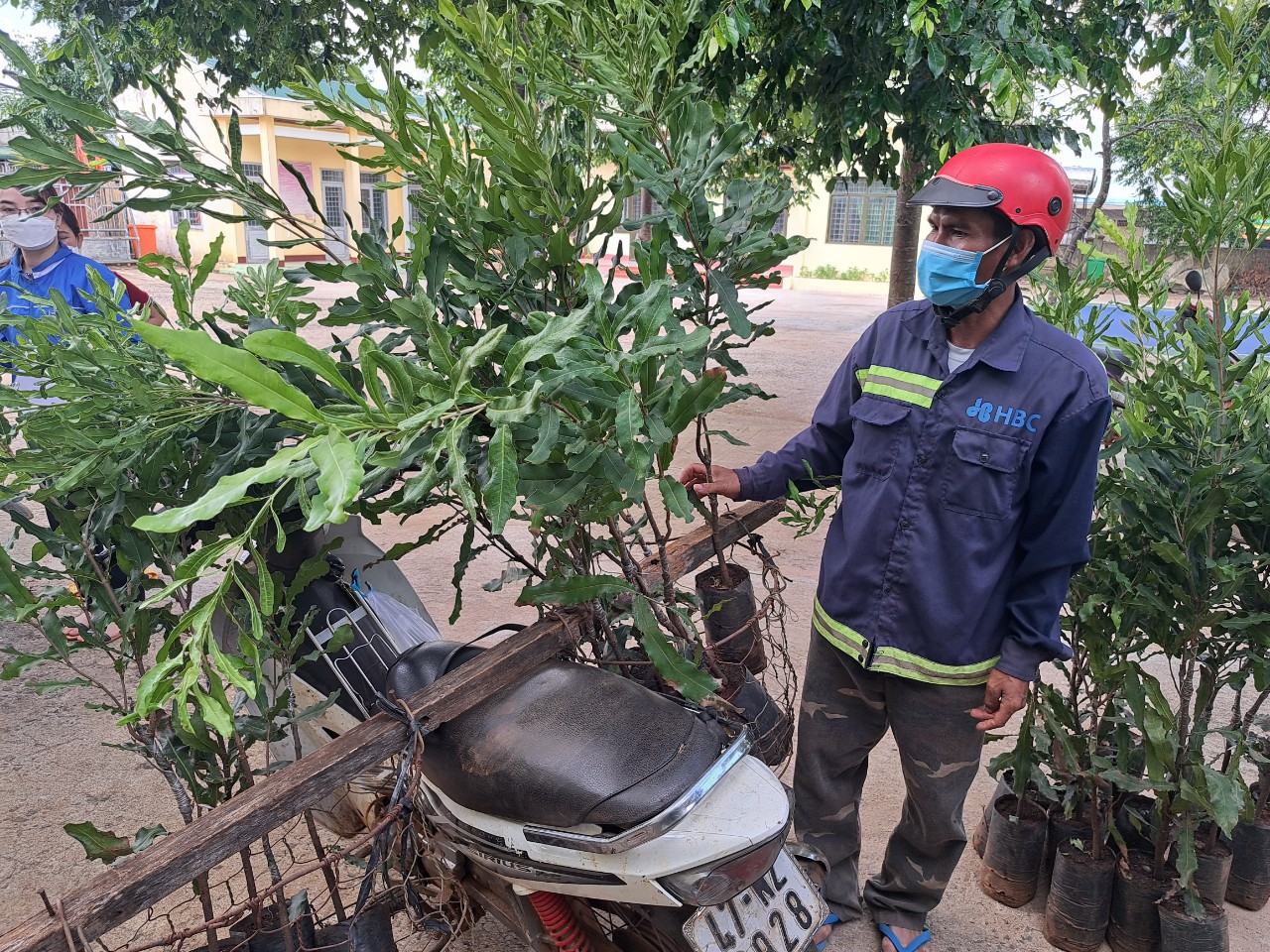 Hình 4. Người dân nhận cây giống Mắc ca